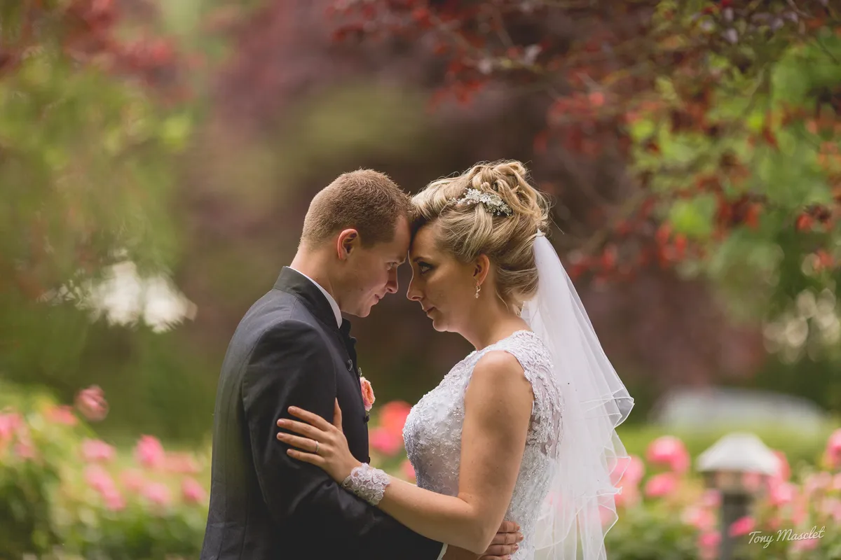 Photographe mariage Nieppe – séance couple dans la roseraie du Clos du Bac